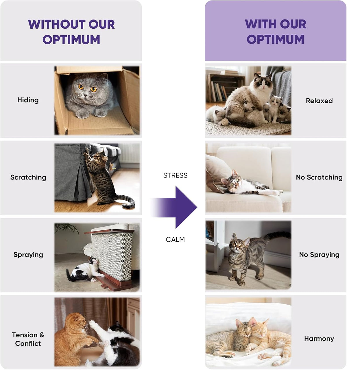 Cat Calming Diffuser with Advanced Pheromone Technology, 120 Days Plug in Diffuser for Multi Cat Home, Reduce Stress, Urine Spraying, Scratching, Hiding, Support Calm Behavior, 2 Diffusers, 4 Refills
