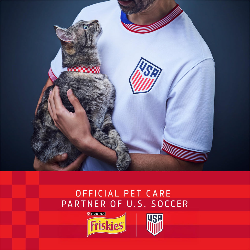 Purina Friskies Prime Filets Cat Food Variety Pack, 48 Ct Cans