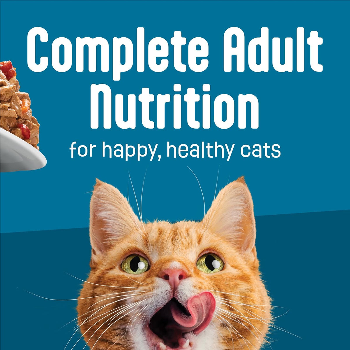 Friskies Purina Fully Load'd Wet Cat Food Variety Pack, 12 Count, 5.5 oz