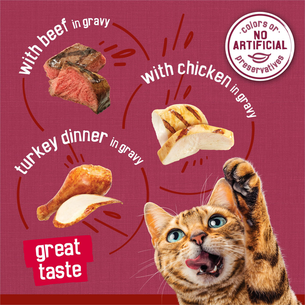 Purina Friskies Gravy Wet Cat Food Variety Pack, Prime Filets Meaty Favorites - (Pack of 24) 5.5 oz. Cans